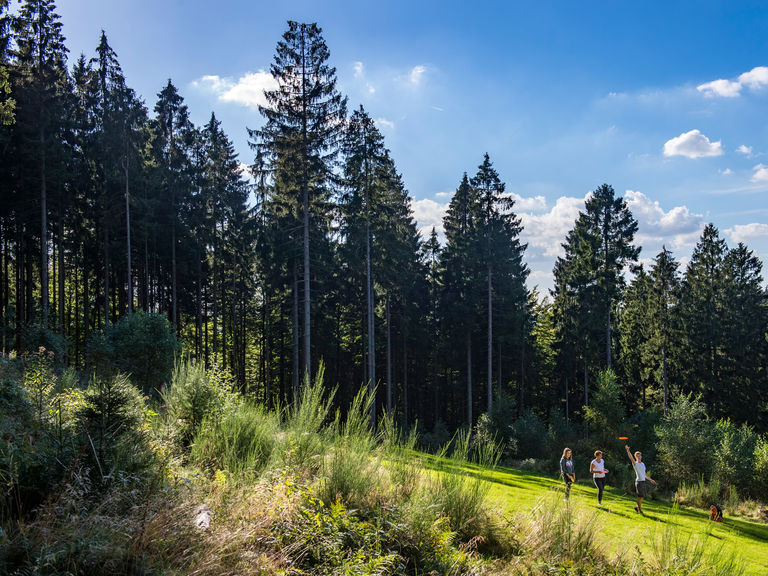 Discgolfwald von Bad Fredeburg im Kurpark im Schmallenberger Sauerland