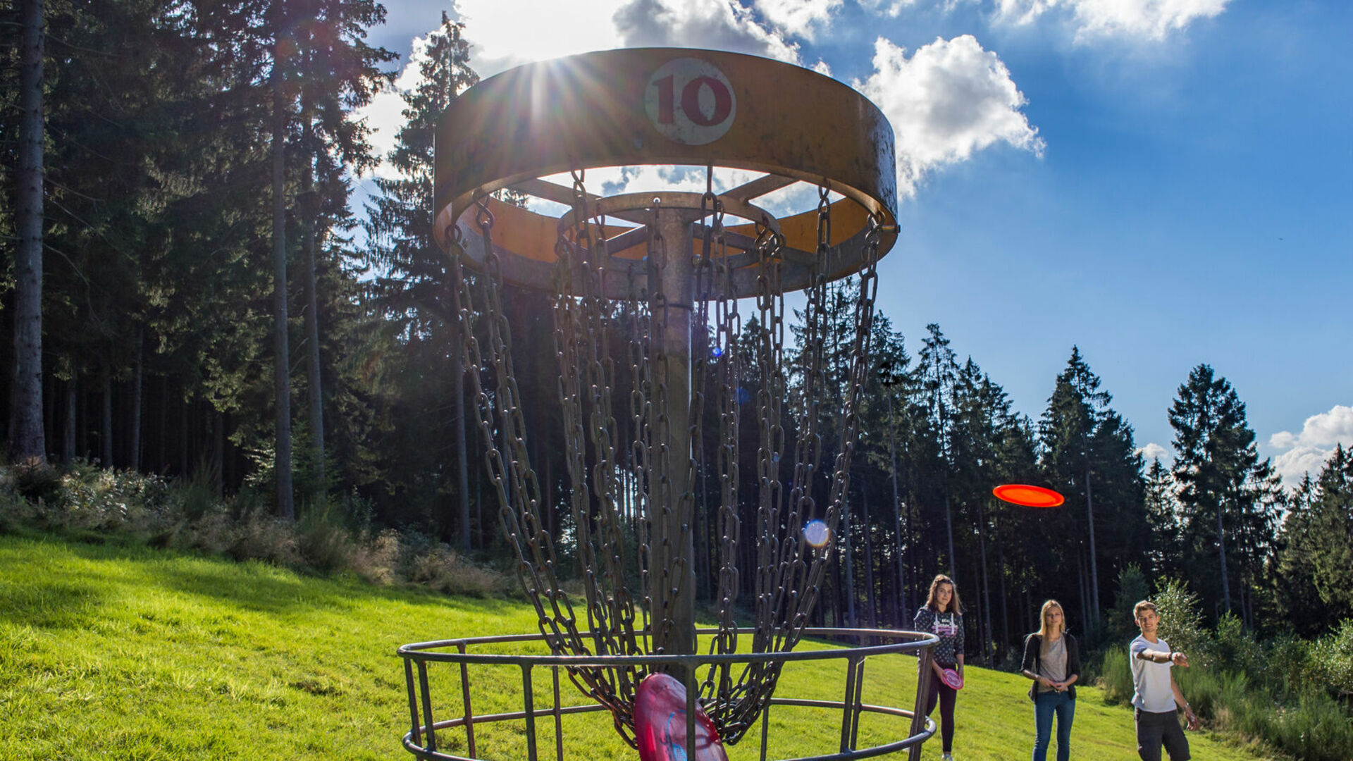 Discgolfen im Kurpark in Bad Fredeburg 