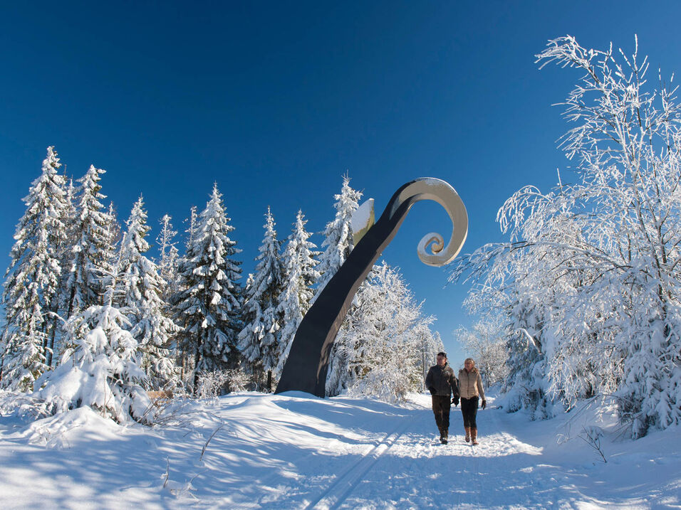 Winterwandern am WaldSkulpturenWeg bei Schanze im Sauerland